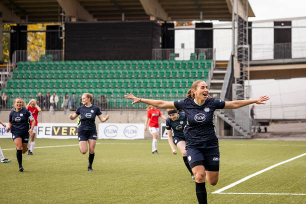 明显欠缺效 明显欠缺效