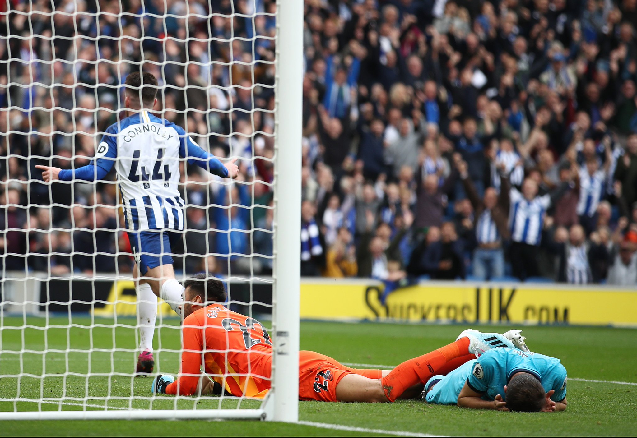 猛龙当年的 猛龙当年的